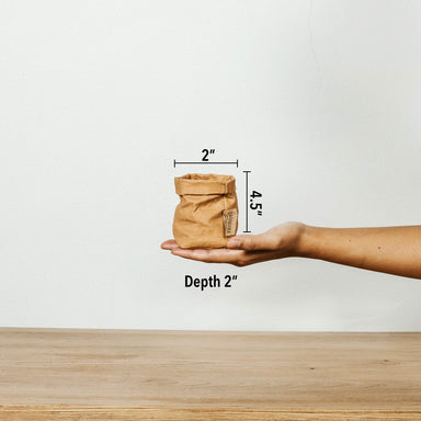 What Is Washable Paper and How Sustainable is It?