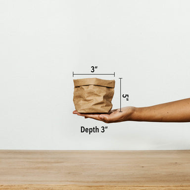 UASHMAMA washable paper bags