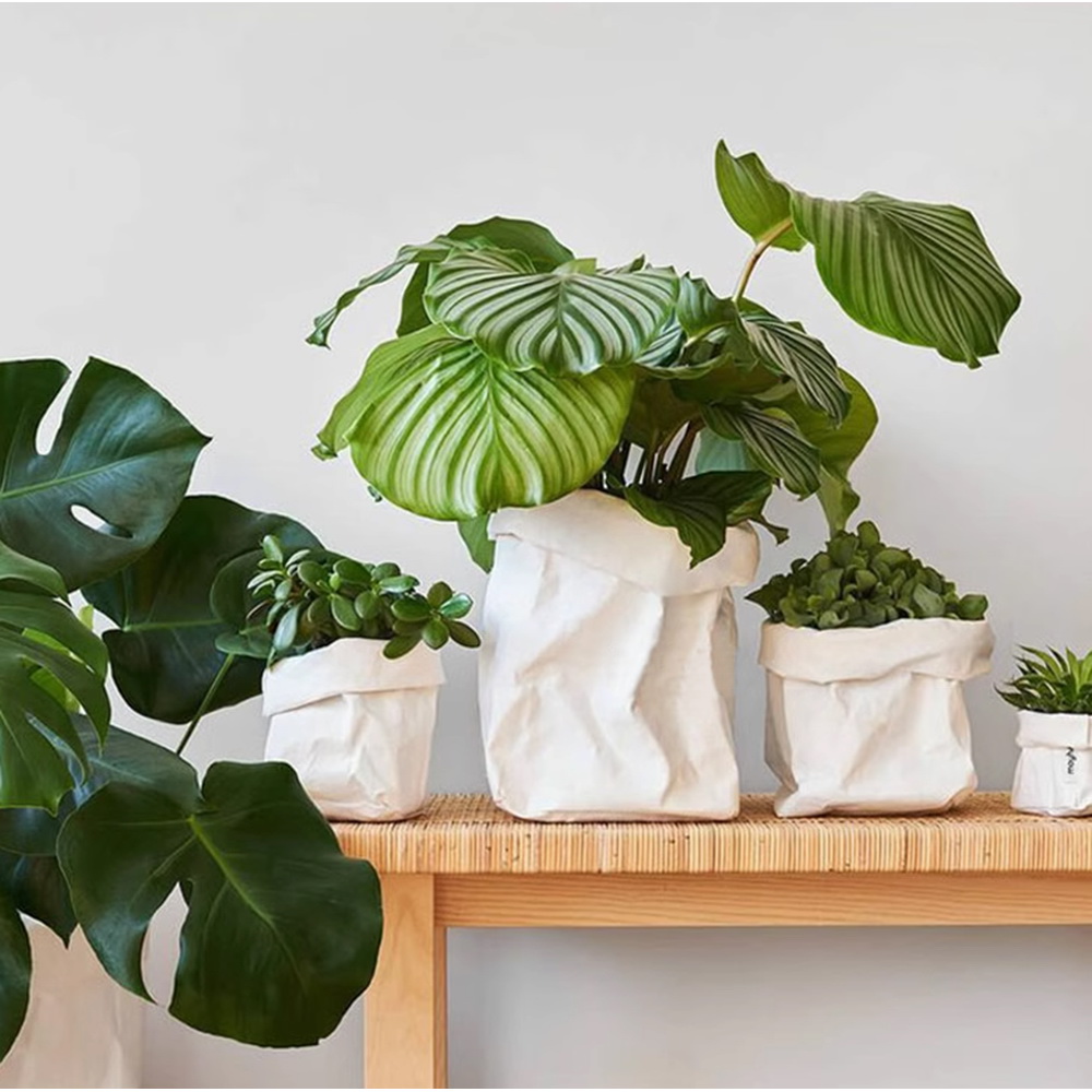 Grow bag