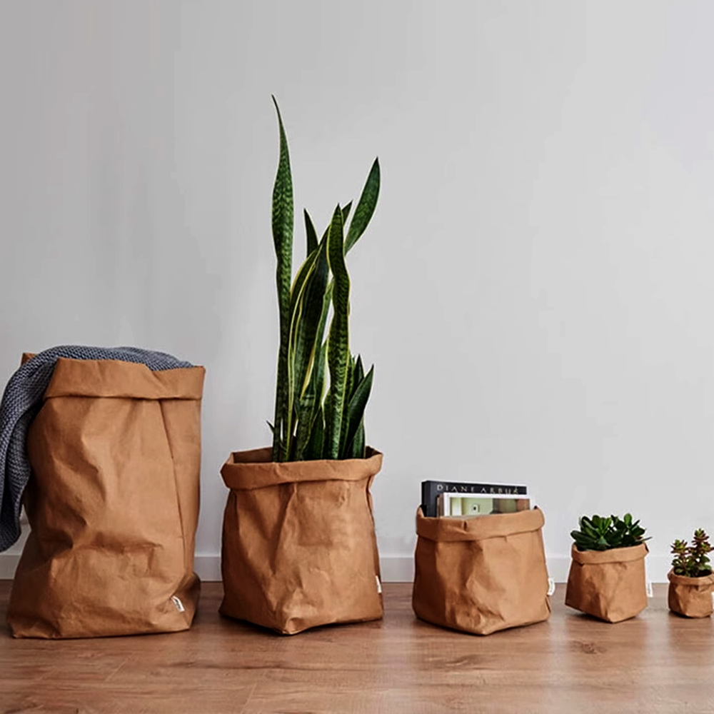 Seed pot
