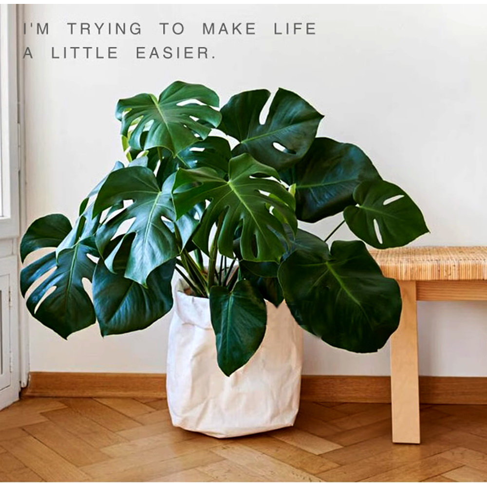 Large planter