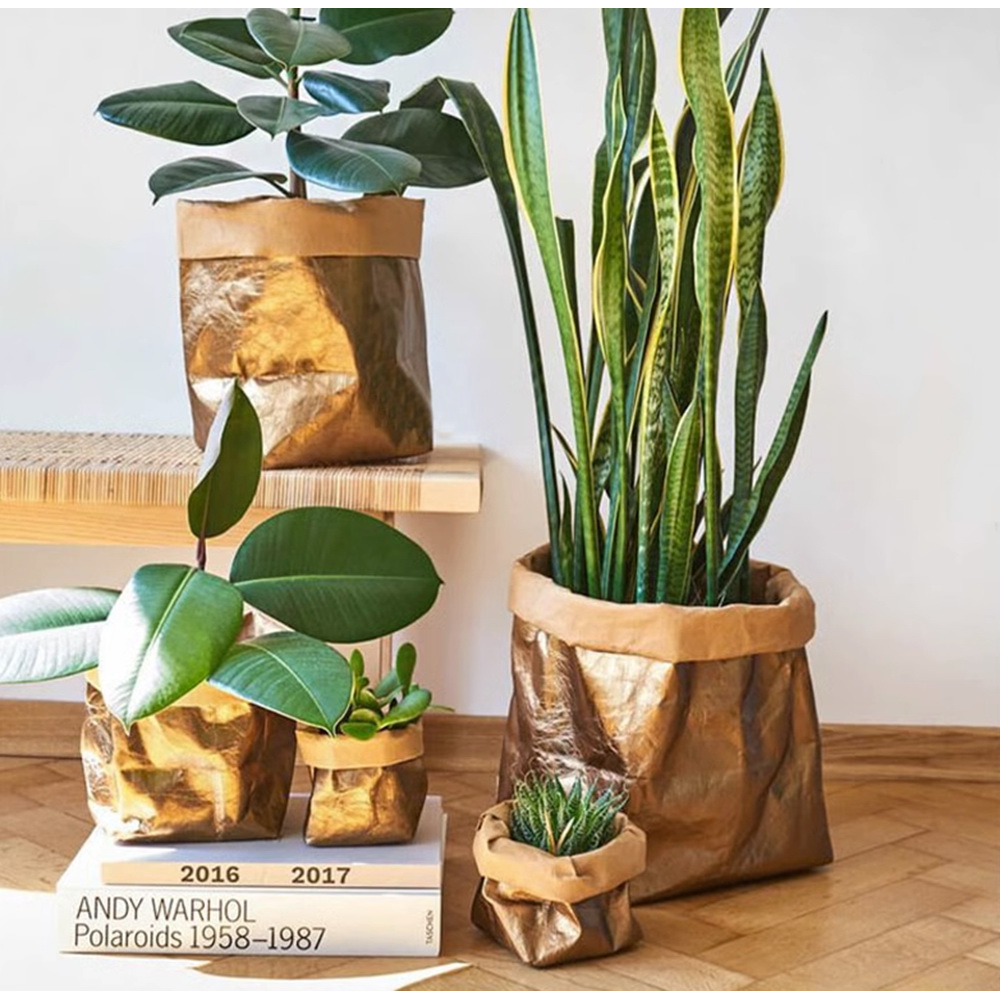Set pot