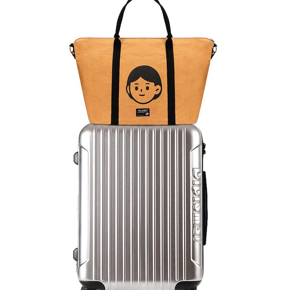 Shoe bag